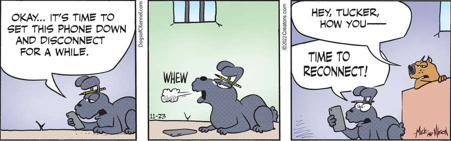 Dogs of C-Kennel for Nov 23, 2022