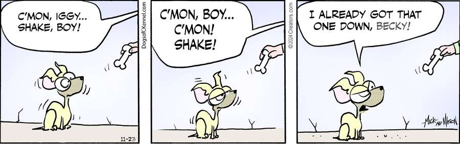 Dogs of C-Kennel for Nov 23, 2024