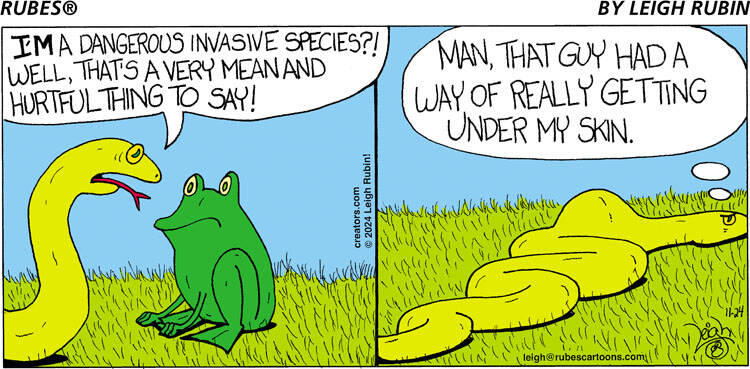 Rubes® for Nov 24, 2024