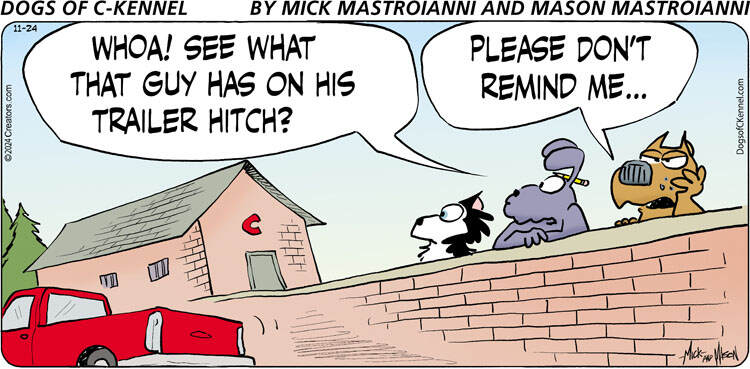 Dogs of C-Kennel for Nov 24, 2024