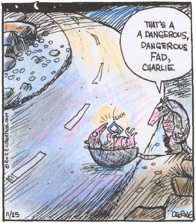 Strange Brew for Nov 25, 2022