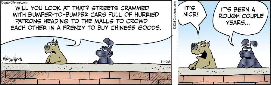 Dogs of C-Kennel for Nov 26, 2021