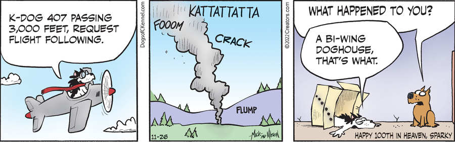 Dogs of C-Kennel for Nov 26, 2022