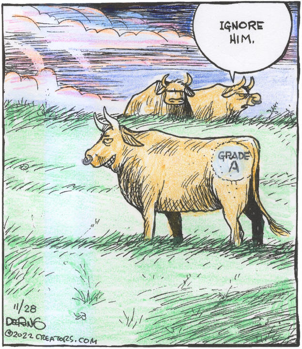 Strange Brew for Nov 28, 2022