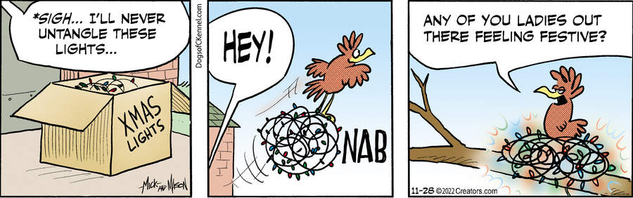 Dogs of C-Kennel for Nov 28, 2022