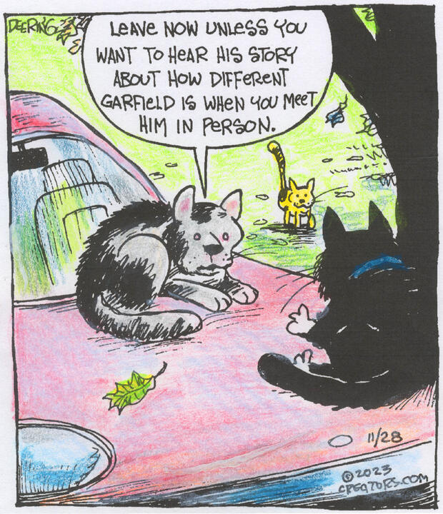 Strange Brew for Nov 28, 2023