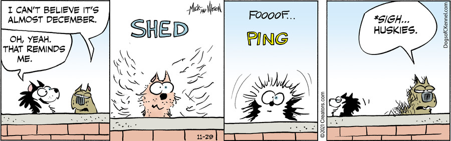 Dogs of C-Kennel for Nov 29, 2021