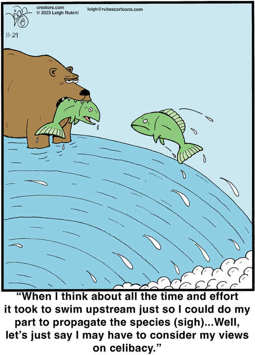 Rubes® for Nov 29, 2023