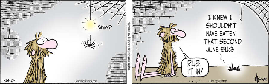 Wizard of Id for Nov 29, 2024