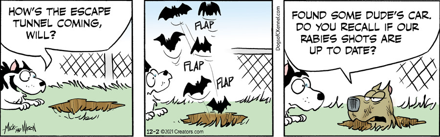 Dogs of C-Kennel for Dec 02, 2021