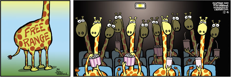 Free Range for Dec 04, 2022