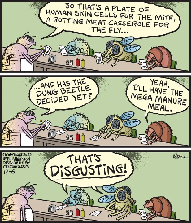 Free Range for Dec 06, 2022