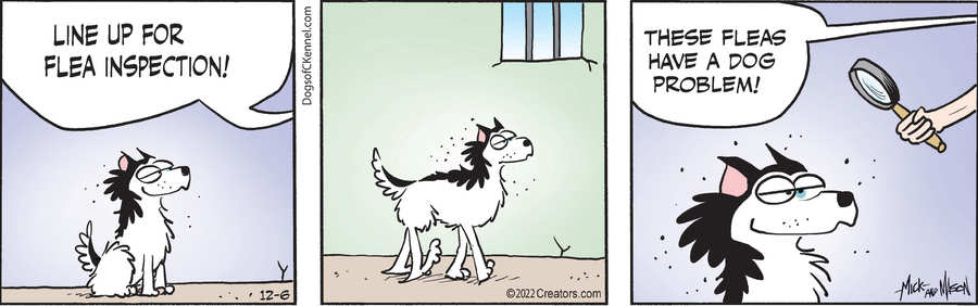 Dogs of C-Kennel for Dec 06, 2022