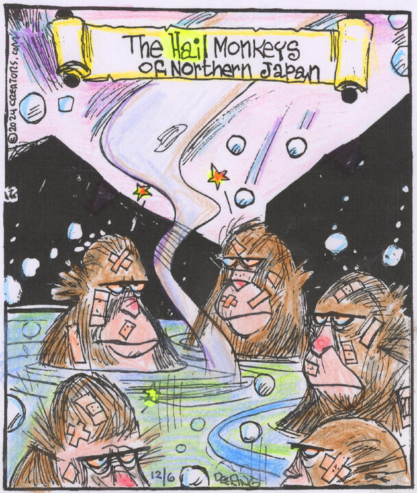 Strange Brew for Dec 06, 2024