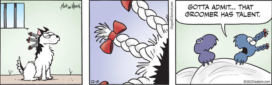 Dogs of C-Kennel for Dec 08, 2022