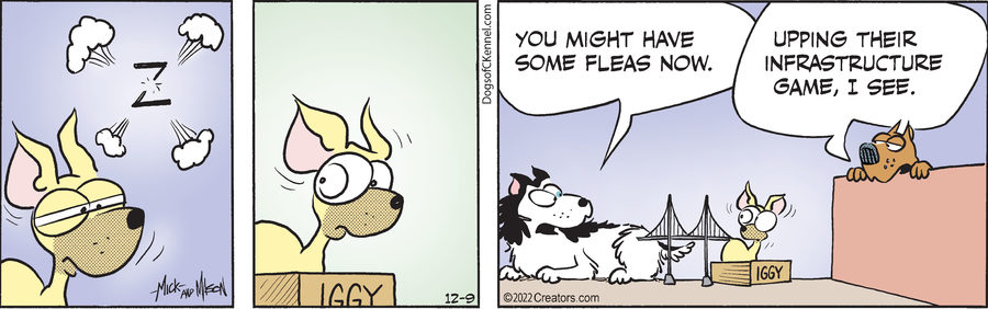 Dogs of C-Kennel for Dec 09, 2022