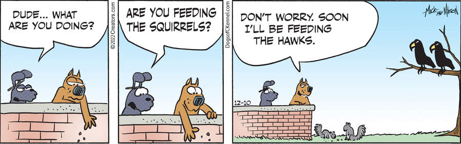 Dogs of C-Kennel for Dec 10, 2022