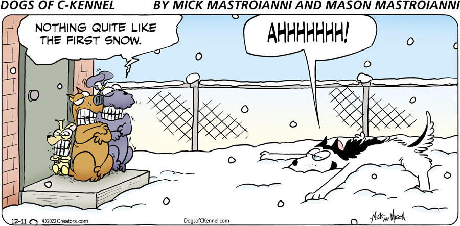 Dogs of C-Kennel for Dec 11, 2022