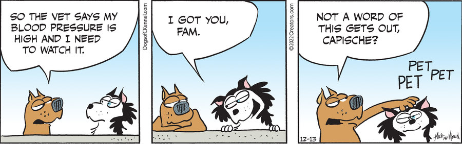 Dogs of C-Kennel for Dec 13, 2022