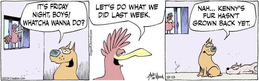 Dogs of C-Kennel for Dec 13, 2024