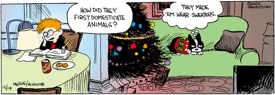 Zack Hill for Dec 14, 2022