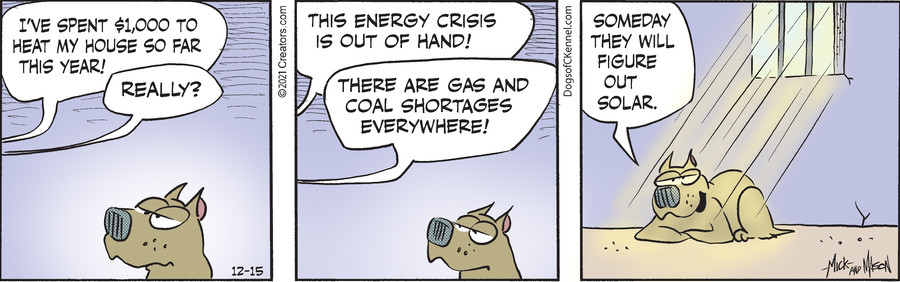 Dogs of C-Kennel for Dec 15, 2021