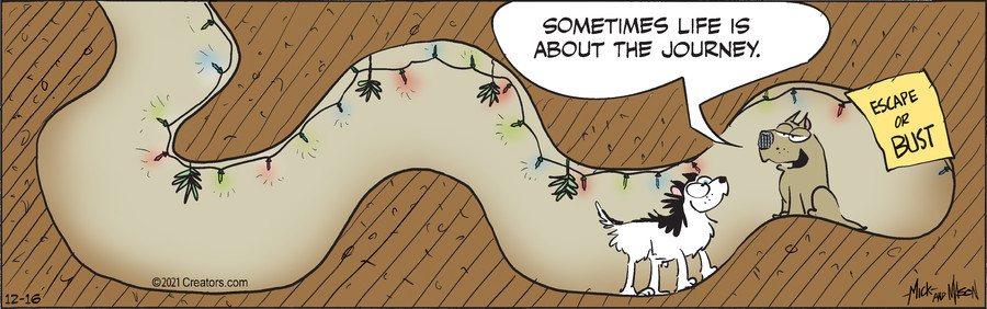 Dogs of C-Kennel for Dec 16, 2021