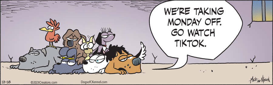 Dogs of C-Kennel for Dec 18, 2023