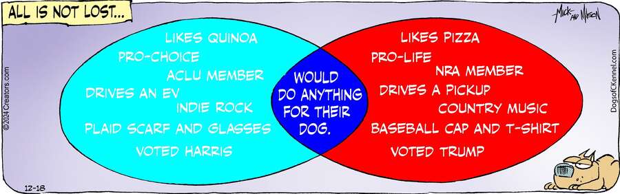 Dogs of C-Kennel for Dec 18, 2024