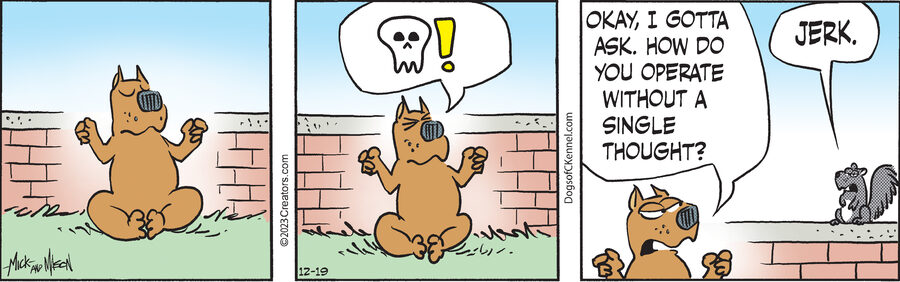 Dogs of C-Kennel for Dec 19, 2023