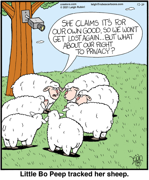 Rubes® for Dec 20, 2021