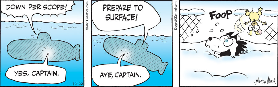 Dogs of C-Kennel for Dec 22, 2021