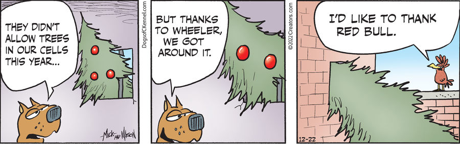 Dogs of C-Kennel for Dec 22, 2022