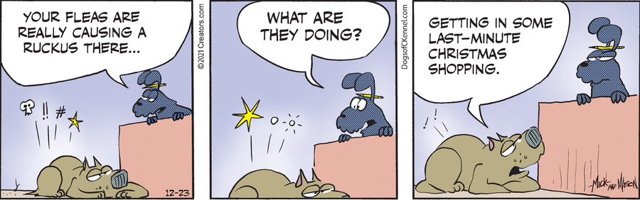 Dogs of C-Kennel for Dec 23, 2021