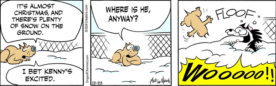 Dogs of C-Kennel for Dec 23, 2024
