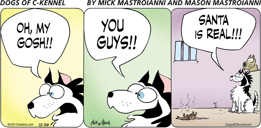 Dogs of C-Kennel for Dec 26, 2021