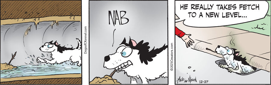 Dogs of C-Kennel for Dec 27, 2023