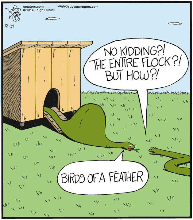 Rubes® for Dec 27, 2024