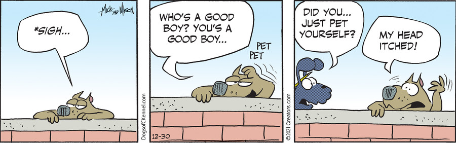 Dogs of C-Kennel for Dec 30, 2021