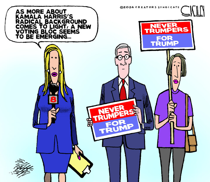 Steve Kelley for Aug 05, 2024