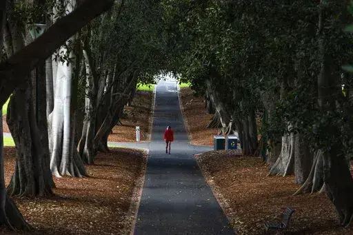 A man wearing a mask is seen walking in a Melbourne park as Melbourne goes into Stage 4 Lockdown due to the spread of COVID-19, Wednesday, Aug. 5, 2020. The coronavirus variant has swept across Australia despite its high vaccination rate and strict border policies that kept the country largely sealed off from the world for almost two years. (AP Photo/Asanka Brendon Ratnayake, File)