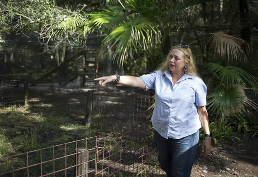 Carole Baskin, founder of Big Cat Rescue, walks the property near Tampa, Fla., July 20, 2017. The owners of the Florida-based tiger sanctuary made famous by the Netflix docuseries, “Tiger King,” say they plan to move their big cats to an Arkansas facility and sell their property. (Loren Elliott/Tampa Bay Times via AP, File)