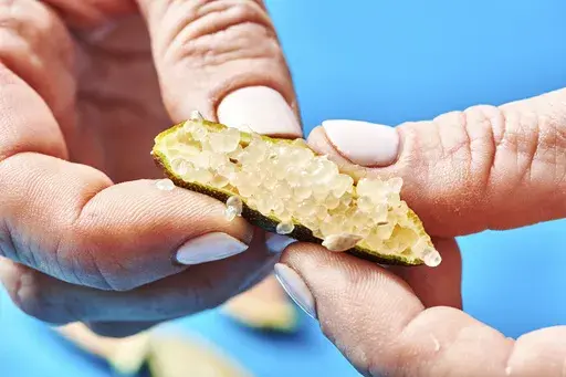 This photo shows a finger lime being squeezed to release the juice pearls in New York on Nov. 15, 2021. (Cheyenne Cohen via AP)
