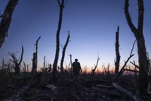 Ukrainian servicemen walk through a charred forest at the frontline a few kilometers from Andriivka, Donetsk region, Ukraine, Saturday, Sept. 16, 2023. (AP Photo/Mstyslav Chernov)