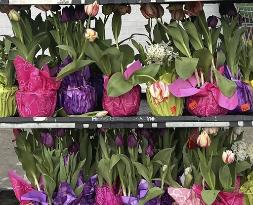 This March 18, 2024, image provided by Jessica Damiano shows spring gift plants on display in Old Brookville, NY. (Jessica Damiano via AP)