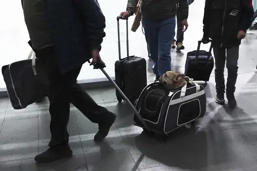 A traveler pulls his dog in a wheeled carrier at the Benito Juarez International Airport in Mexico City, Wednesday, Dec. 21, 2022. If you are bringing a dog into the U.S. — whether if you are returning from a trip overseas with Rover, visiting the U.S., or adopting a dog from abroad — you have to follow a set of new rules released by the Centers for Disease Control and Prevention on Wednesday, May 8, 2024, designed to help prevent the spread of rabies. (AP Photo/Marco Ugarte, File)