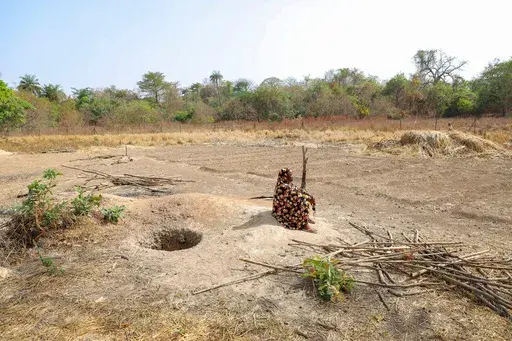 Aminata Doumbia, president of the women's group, sits next to a pit on farmland that was leased with help from USAID but has not yet been cultivated because the funding has ceased in Kimbirila-Nord, Ivory Coast, Feb. 21, 2025. (AP Photo/Misper Apawu)