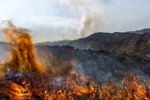 A forest burns during a wildfire near Altura, eastern Spain, on Friday, Aug. 19, 2022. Up to early August, 43 large wildfires — those affecting at least 500 hectares (1,235 acres) — were recorded in the Mediterranean country by the Ministry for Ecological transition, while the average in previous years was 11. The European Forest Fire Information System estimates a burned surface of 284,764 hectares (704,000 acres) in Spain this year. That's four times higher than the average since records b