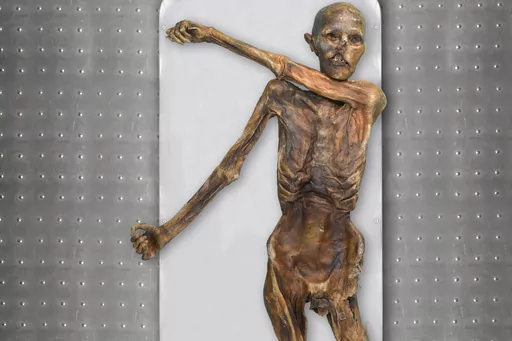 This photo provided by The South Tyrol Museum of Archaeology shows "Oetzi the Iceman," one of the oldest human glacier mummies. Decades after he was discovered in the Italian Alps, scientists determined that Oetzi was mostly descended from farmers from present day Turkey, and his head was balder and skin darker than what was initially thought, according to a study published Wednesday, Aug. 16, 2023, in the journal Cell Genomics. (Marco Samadelli, Gregor Staschitz/South Tyrol Museum of Archaeolog