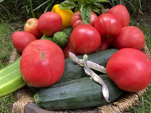 This Aug. 12, 2020, image provided by Jessica Damiano shows a harvest of homegrown vegetables in Glen Head, N.Y. (Jessica Damiano via AP)